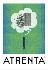 A/Atrenta