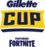 Gillette Cup