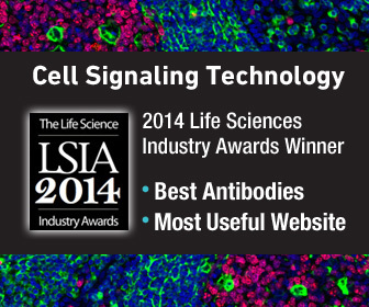 Cell Signaling Technology荣获生命科学行业奖的“最佳抗体”和“最有用网站”奖项（图示：美国商业资讯）