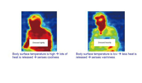 照片3：使用紅外陣列感測器在相同的環境下感測人的熱反應水準 （圖片：美國商業資訊）