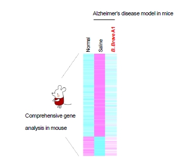 （图2）小鼠海马全方位基因表达分析（图示：美国商业资讯） 