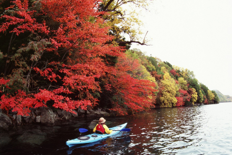 Lake Chuzenji Kayak Tours (Photo: Business Wire)