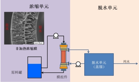 ＜系統概要圖＞ 本系統運用了液體因透過膜時產生的濃度差而移動的滲透現象。透過膜元件原液中的水分子向高濃度汲取液方向移動，從而實現了水的分離。(圖片：美國商業資訊) 