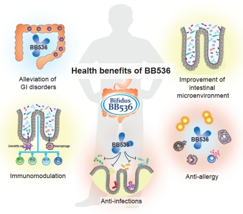 图1. 长双歧杆菌BB536对人体健康的有益效应。（图示：美国商业资讯）