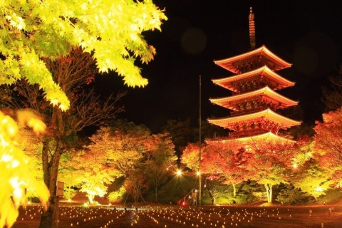 Nariaiji Temple (Photo: Business Wire)