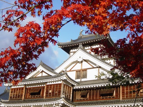 Fukuchiyama Castle (Photo: Business Wire)