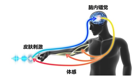 (图示：美国商业资讯) 