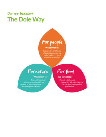 “The Dole Way”框架（图示：美国商业资讯）