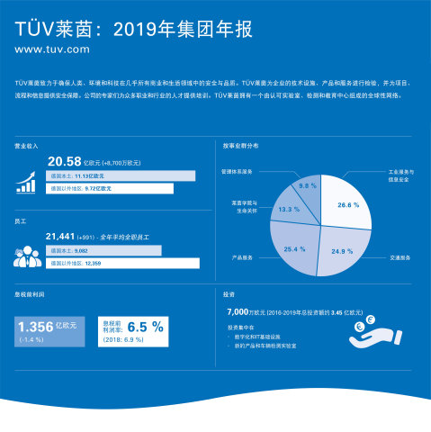 TUV Rheinland: Group Figures 2019 (Graphic: Business Wire)