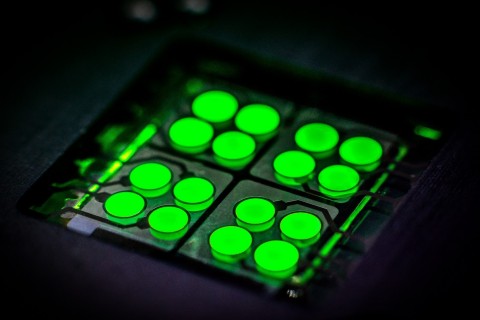cyUltimateGreen™ - CYNORA的TADF深綠光發射器元件測試套件（照片：Harald Flügge博士，CYNORA） 