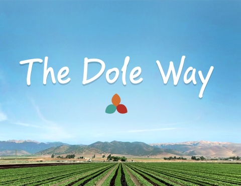 在都樂認為可以產生最大正向影響的領域內，“The Dole Way”架構為公司的進一步改善奠定基礎（照片：美國商業資訊） 