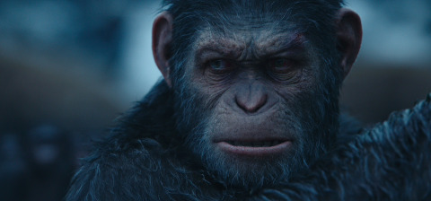 《猩球崛起》，©二十世纪福克斯影片公司2017年版权所有（照片：美国商业资讯）