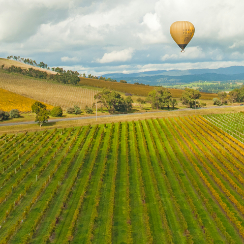 Yarra Valley Water Enhances Customer Experience and Fuels Digital Transformation Journey by Moving Oracle Software Portfolio to Rimini Street (Graphic: Business Wire)