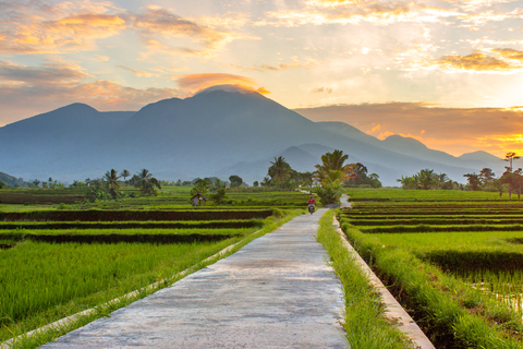 「混凝土永續性」主題專業組冠軍：Rahmad Himawan。印尼。「混凝土在支撐人類生活方面發揮著重要作用。我的照片展現了一大片稻田中的一條水泥小路，位於印尼克姆姆村下面一個小村落。有了這條路，農民可以便捷地從事農耕，並展開其它重要的日常活動，從而讓我們的永續社區不斷發展壯大。這條路也用於人們休閒、旅遊以及欣賞周邊的自然風光。」（照片：美國商業資訊）