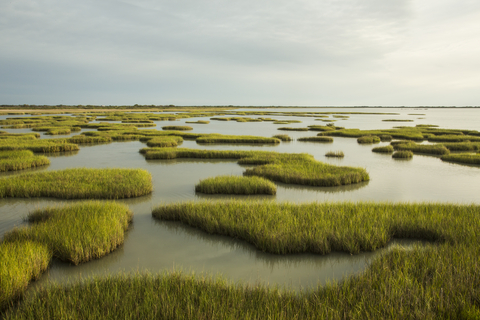 Mary Kay’s partnership with The Nature Conservancy (TNC) began in 1990. (Photo Credit: Jerod Foster for The Nature Conservancy)