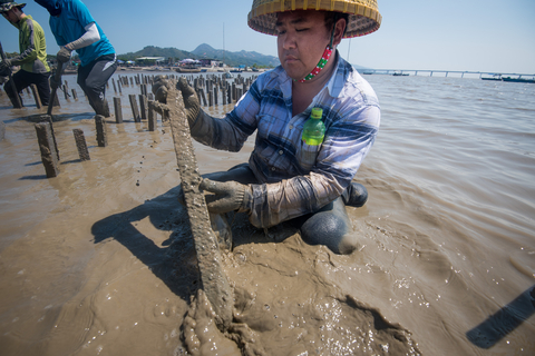 Building Hong Kong's first pilot oyster reef ©Kyle Obermann for The Nature Conservancy