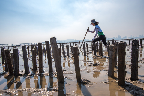 建立香港首個試行牡蠣礁 ©Kyle Obermann為大自然保護協會拍攝