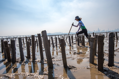 Building Hong Kong's first pilot oyster reef ©Kyle Obermann for The Nature Conservancy