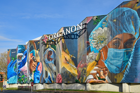 RoosArt在Organon位於荷蘭奧斯的製造廠創作的壁畫。（照片：Organon）