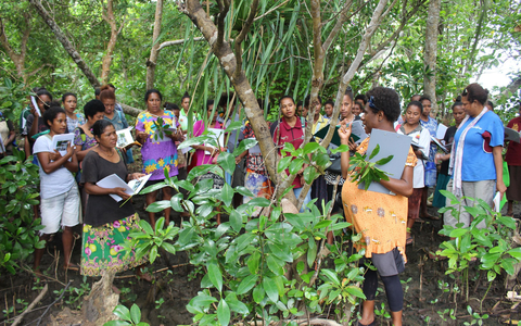在珊瑚三角区，玫琳凯继续与TNC合作，支持巴布亚新几内亚和Mangoro Market Meri的妇女，为其提供领导力、金融素养和商业管理方面的培训。这些区域的妇女销售可持续的红树林产品，培训有助于创造亟需的收入和就业机会。（照片：玫琳凯公司）