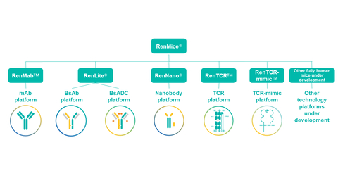 RenMice系列小鼠及应用其构建的全人抗体/TCR技术平台 （图示：美国商业资讯） 