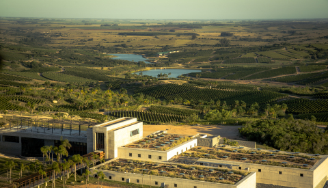 Bodega Garzon Winery (Photo: Business Wire) 