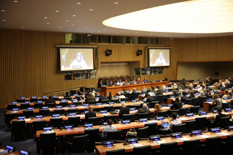 During the announcement of NAMA Fund, on the sidelines of the 71st UN General Assembly (Photo: NAMA)
