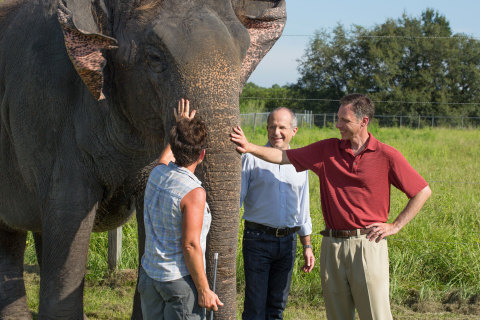 Trudy Williams, Ringling Bros. and Barnum & Bailey Center for Elephant Conservation® Animal Stewardship Manager; Kenneth Feld, Chairman and CEO of Feld Entertainment; and Dr. Joshua Schiffman, Pediatric Oncologist from Primary Children’s Hospital and Investigator with Huntsman Cancer Institute, both located in Salt Lake City, UT, visit the Ringling Bros. Center for Elephant Conservation® in Central Florida. (Photo: Feld Entertainment)