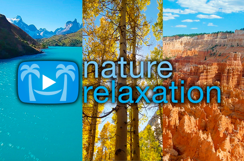 Nature Relaxation Ultra HD Channel Launches with SES (Photo: Business Wire) 