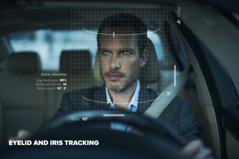 In-Car Sensing Technology (Photo: Business Wire)
