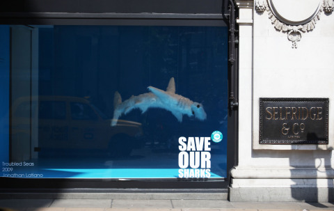 Selfridges海洋計畫「保護我們的鯊魚」活動櫥窗（照片：美國商業資訊） 