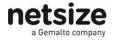 netsize2013