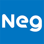 Nippon Electric Glass 