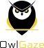 OwlGaze