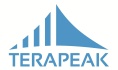 terapeak 2013