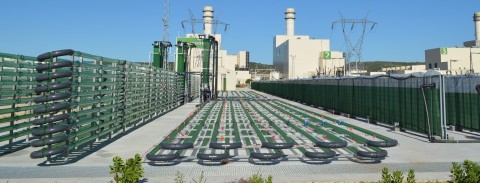 AlgaEnergy's microalgae production facility in Cádiz, Spain (Photo: Business Wire) 