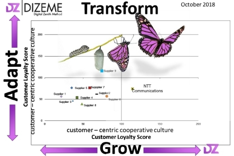 Ocean82 Crystal Ball DIZEME (Graphic: Business Wire)