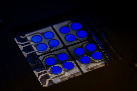OLED元件中的CYNORA螢光藍色發射器cyBlueBooster（照片：cynora GmbH的Harald Flügge博士） 