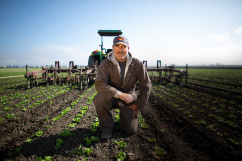 Dole Fresh Vegetables Farm (Photo: Business Wire)