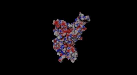 Coronavirus domain and human ACE2 interaction (Graphic: Business Wire)