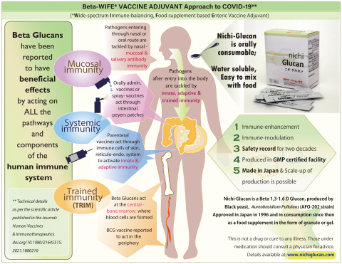 Nichi Glucan is reported to have potentials to act through all the four pathways of immune system viz., Mucosal immunity, Adaptive immunity, Innate immunity and Trained immunity. Research on novel beta-glucans is essential to help find ways to boost human immunity, keeping in mind the present Covid-19, mutating variants and future pandemics. (Graphic: Business Wire)