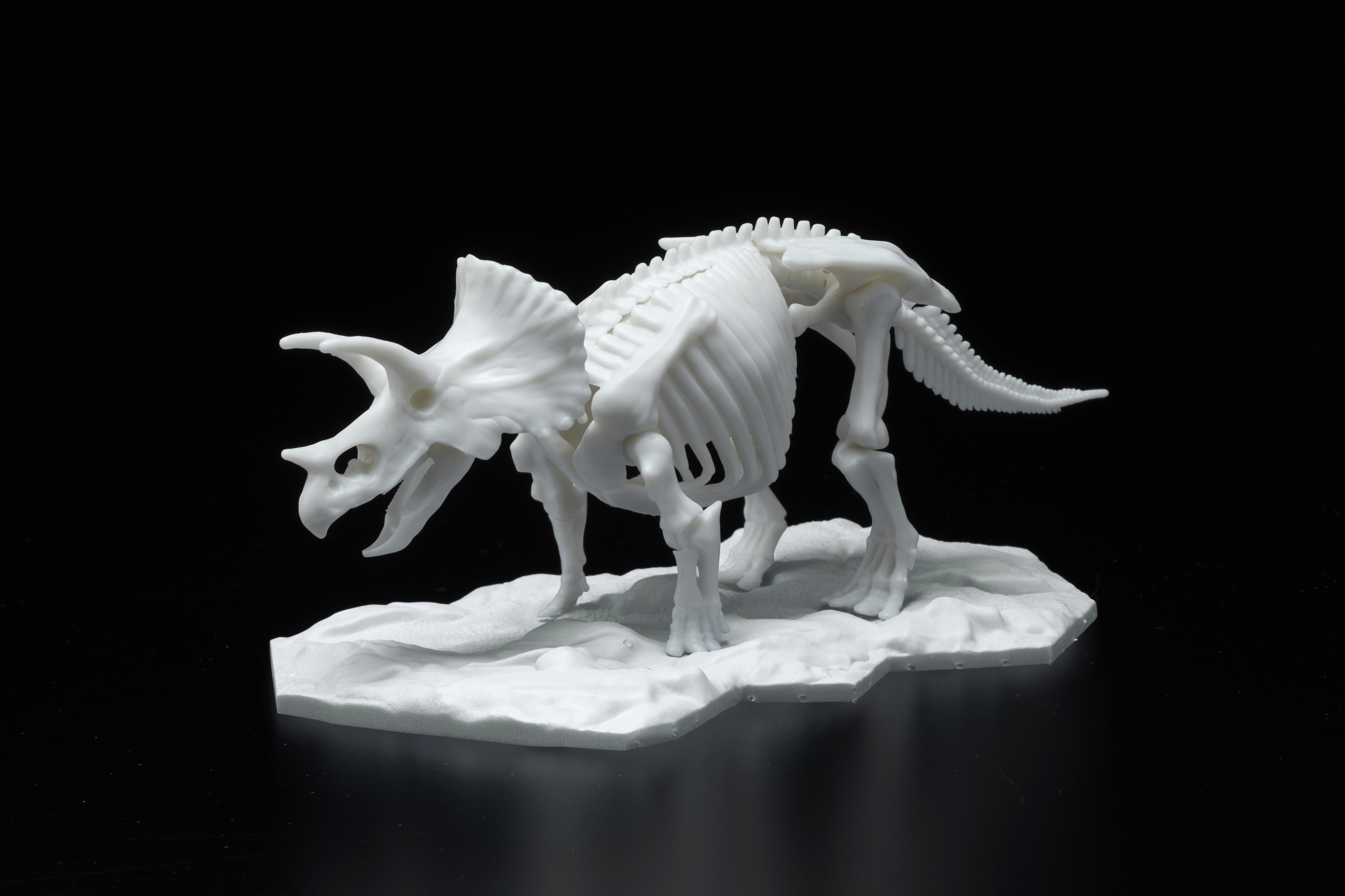 Dinosaur Skeleton Plastic Model Triceratops (Photo: Business Wire)