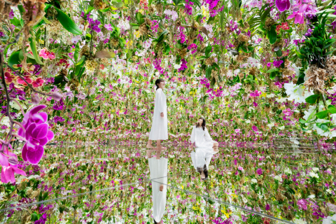 teamLab，2020，Interactive Digital Installation，Endless，音效：Hideaki Takahashi（照片：美国商业资讯） 