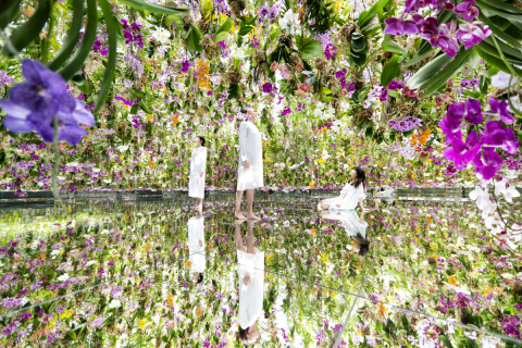 teamLab，2015，Interactive Kinetic Installation，Endless，音效：Hideaki Takahashi（照片：美國商業資訊） 