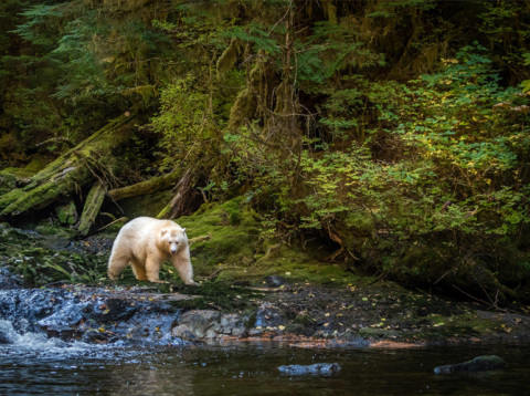 Mary Kay’s support has helped The Nature Conservancy support the women-led Resilient Indigenous Leaders Network to continue to thrive and serve Indigenous leaders from communities across Canada. This program’s goal is to advance lasting conservation outcomes that benefit people and nature. © Douglas Croft