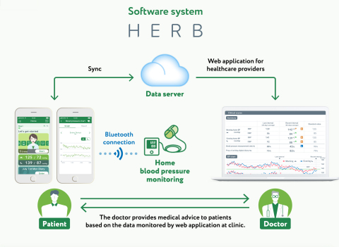 原發性高血壓數位治療干預（HERB 系統）概覽。（圖片：美國商業資訊）
