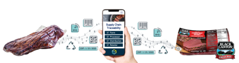 Graphic explaining how using the SEE™ Mark will allow you to see inside a package through multiple data signatures. (Graphic: Business Wire)