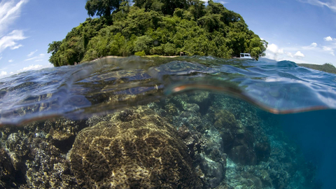 巴布亚新几内亚©Mark Godfrey（照片：玫琳凯）