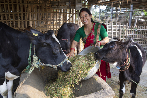 尼泊尔奶农参与气候智能型项目。（照片来源：Heifer Netherlands）