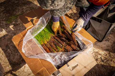 Working alongside the Northwest Florida Water Management District, the Arbor Day Foundation and Mary Kay partnered to plant 43,000 longleaf pine that will help protect critical water resources in Bay County Florida. (Photo: Arbor Day Foundation)